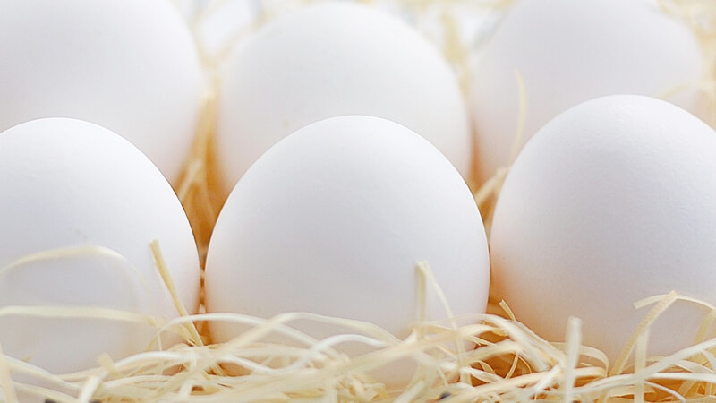 卵を1日1個以上食べ過ぎてコレステロールが高くなるのは嘘