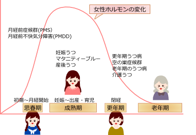 エストロゲンの分泌変化