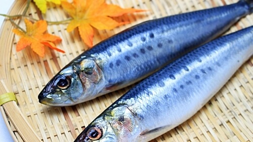 青魚(オメガ3脂肪酸)で血液サラサラ
