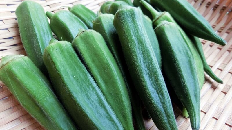 【オクラの栄養価と効能】血糖値の上昇を抑える緑黄色野菜！